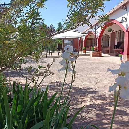 佩德罗－穆尼奥斯Casa Rural El Palomar别墅 外观 照片
