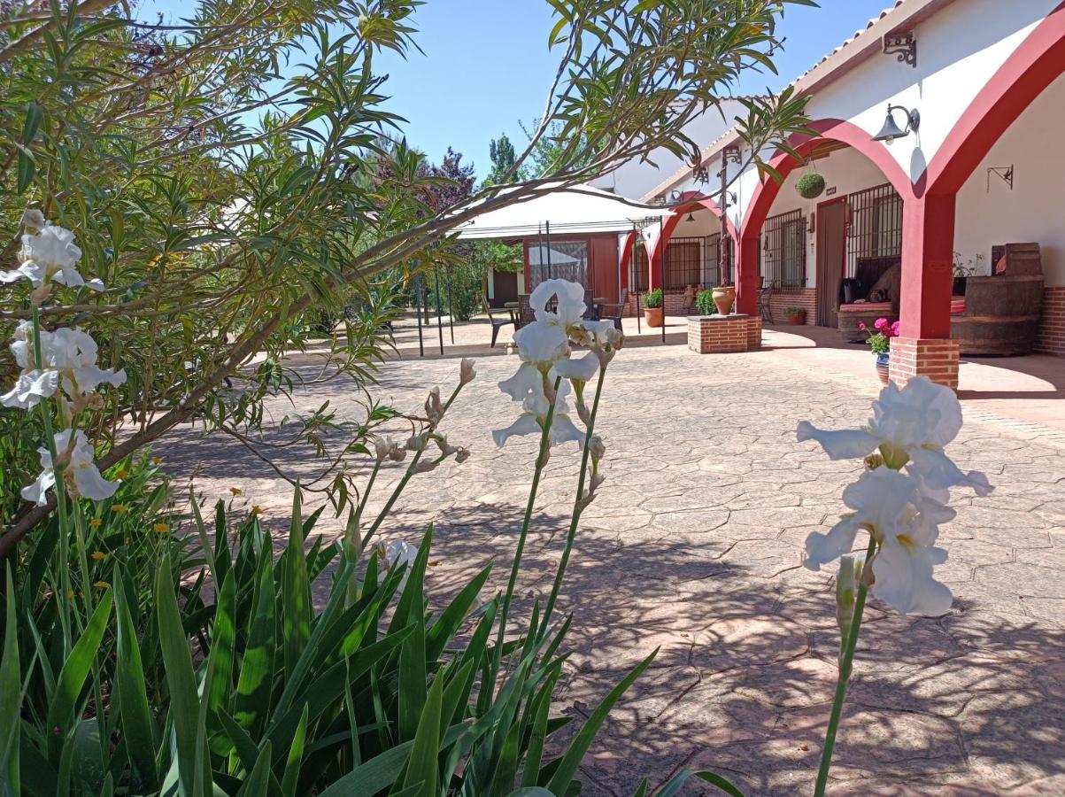 佩德罗－穆尼奥斯Casa Rural El Palomar别墅 外观 照片